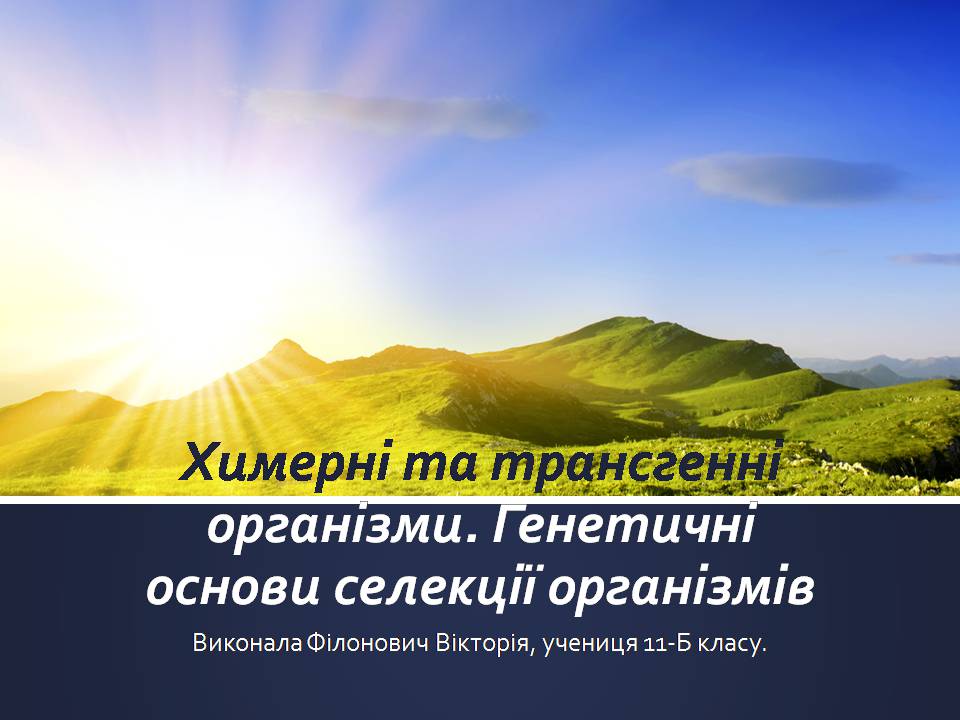 Презентація на тему «Химерні та трансгенні організми. Генетичні основи селекції організмів» - Слайд #1