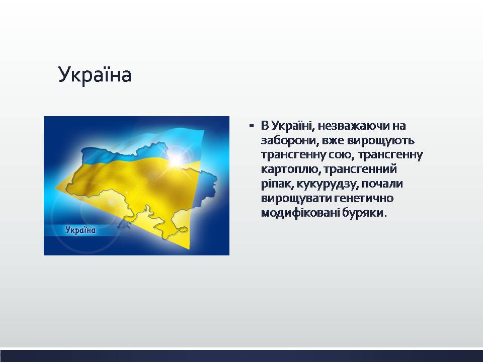 Презентація на тему «Химерні та трансгенні організми. Генетичні основи селекції організмів» - Слайд #12