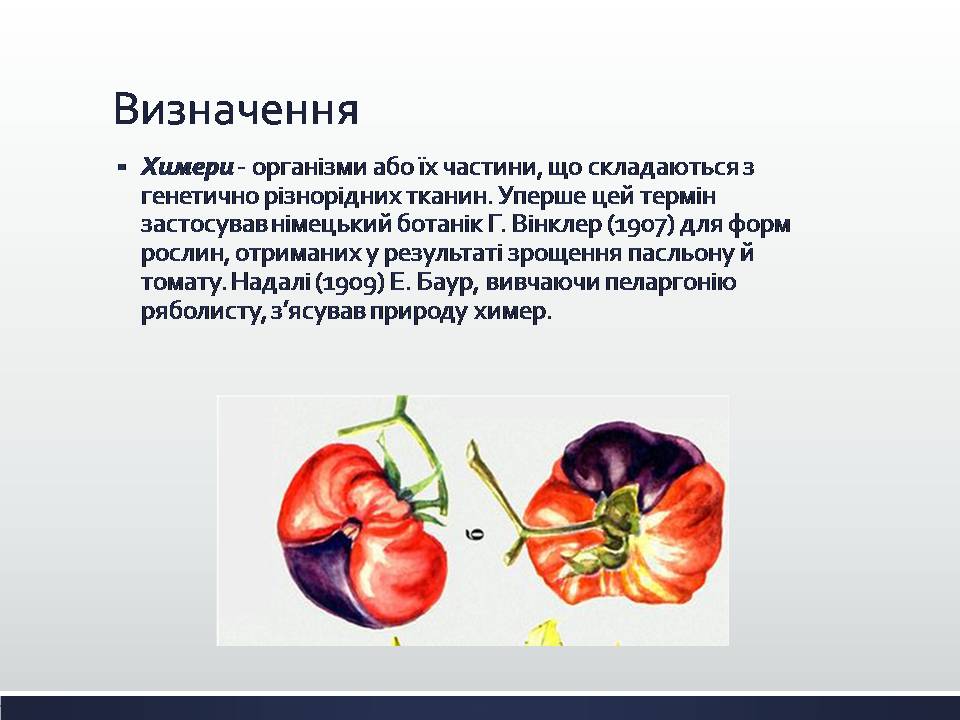 Презентація на тему «Химерні та трансгенні організми. Генетичні основи селекції організмів» - Слайд #2