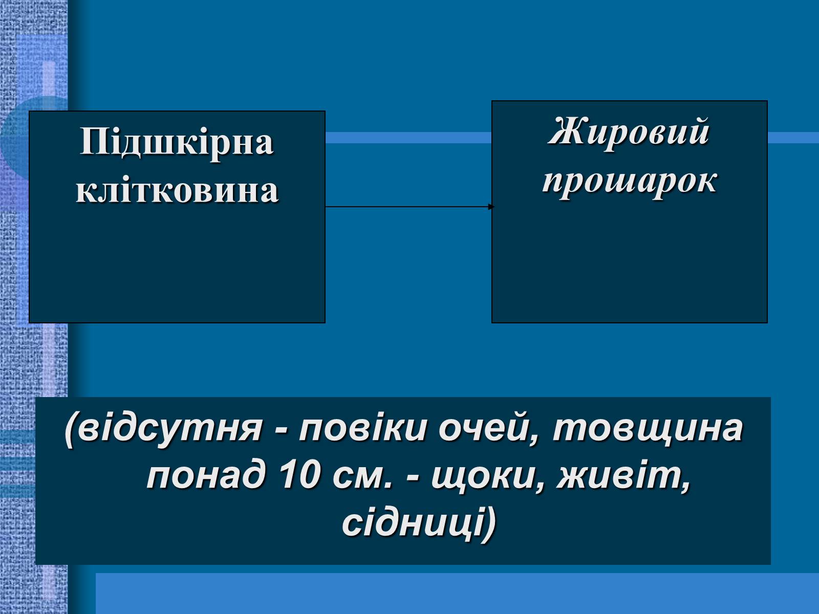 Презентація на тему «Терморегуляція. Будова шкіри» - Слайд #8