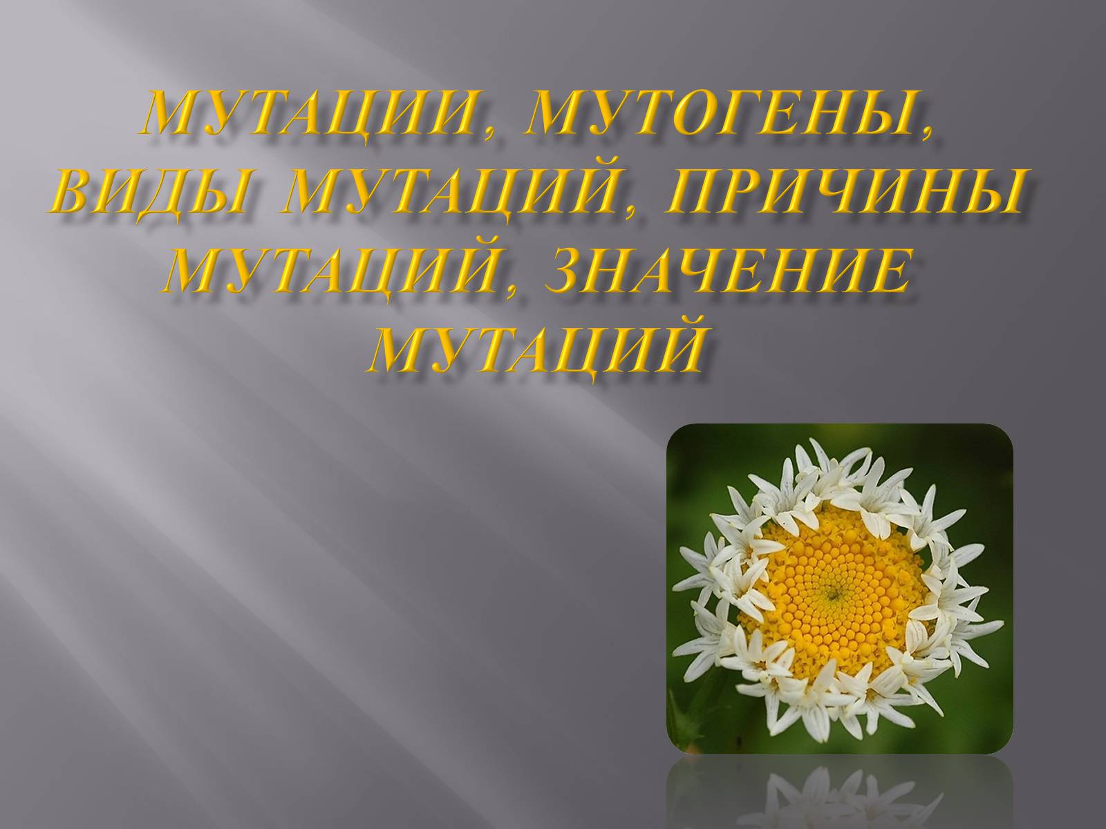 Презентація на тему «Мутации, мутогены, виды мутаций, причины мутаций, значение мутаций» - Слайд #1