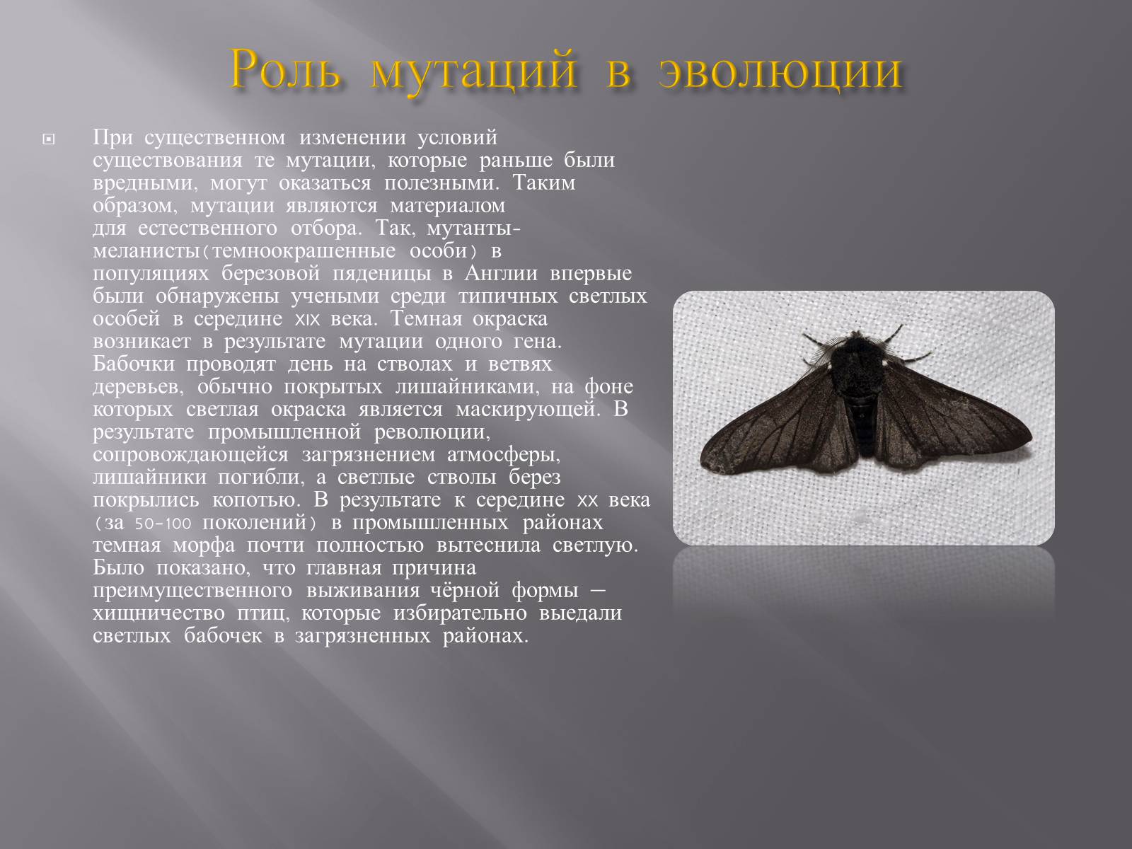 Презентація на тему «Мутации, мутогены, виды мутаций, причины мутаций, значение мутаций» - Слайд #18