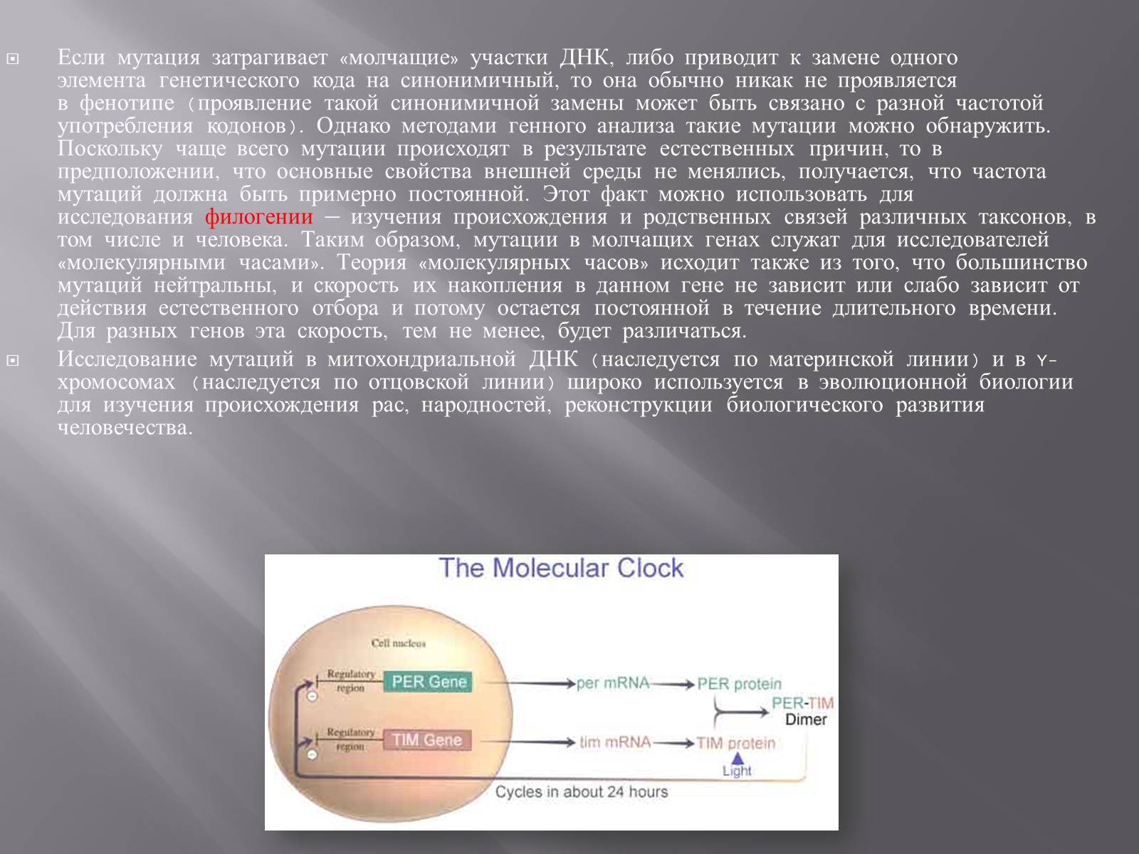 Презентація на тему «Мутации, мутогены, виды мутаций, причины мутаций, значение мутаций» - Слайд #19