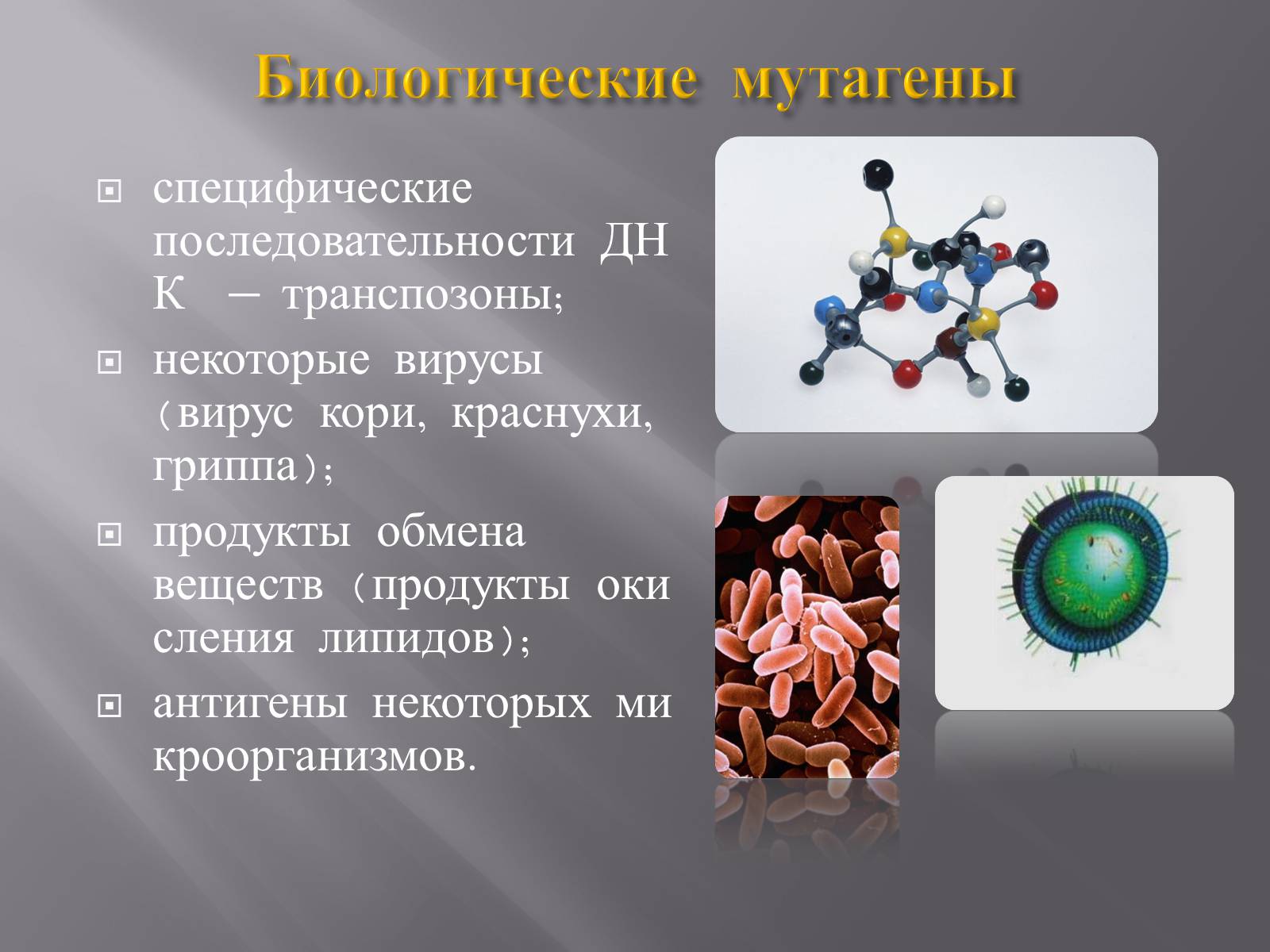 Презентація на тему «Мутации, мутогены, виды мутаций, причины мутаций, значение мутаций» - Слайд #26