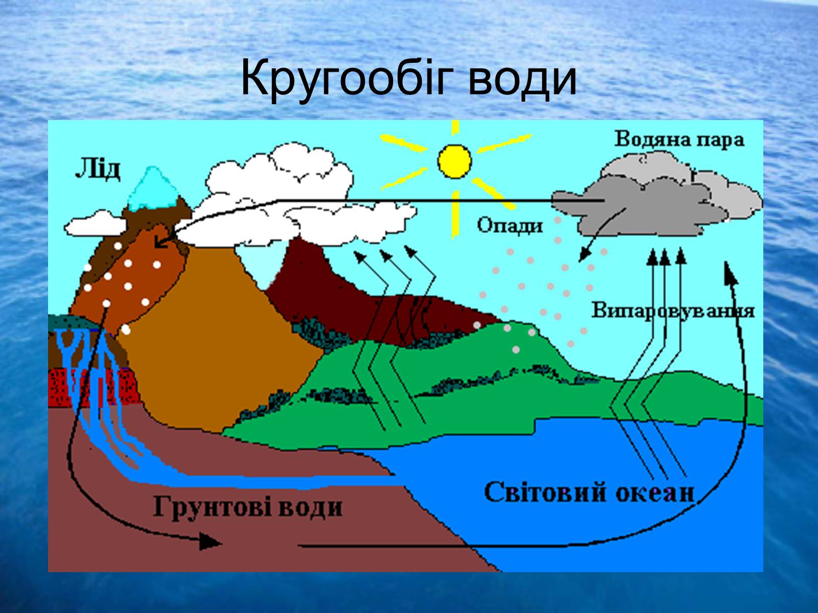 Презентація на тему «Водне середовище» (варіант 3) - Слайд #3