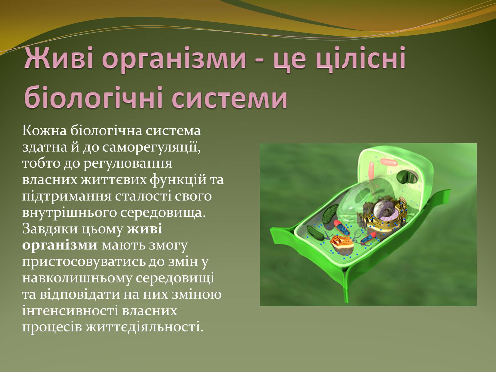 Презентація на тему «Організм людини як біологічна система» - Слайд #3