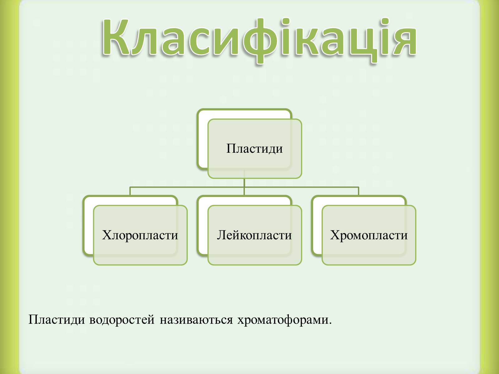 Презентація на тему «Пластиди» - Слайд #3