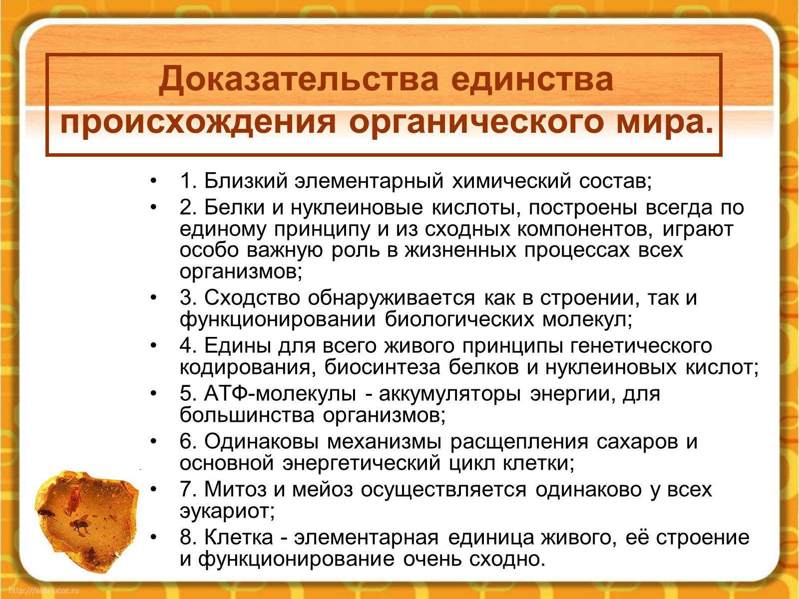 Служит доказательством. Доказательства единства происхождения органического мира. Доказательства единства происхождения органического мира на земле. Единство органическогтмира. Доказательства эволюции органического мира.