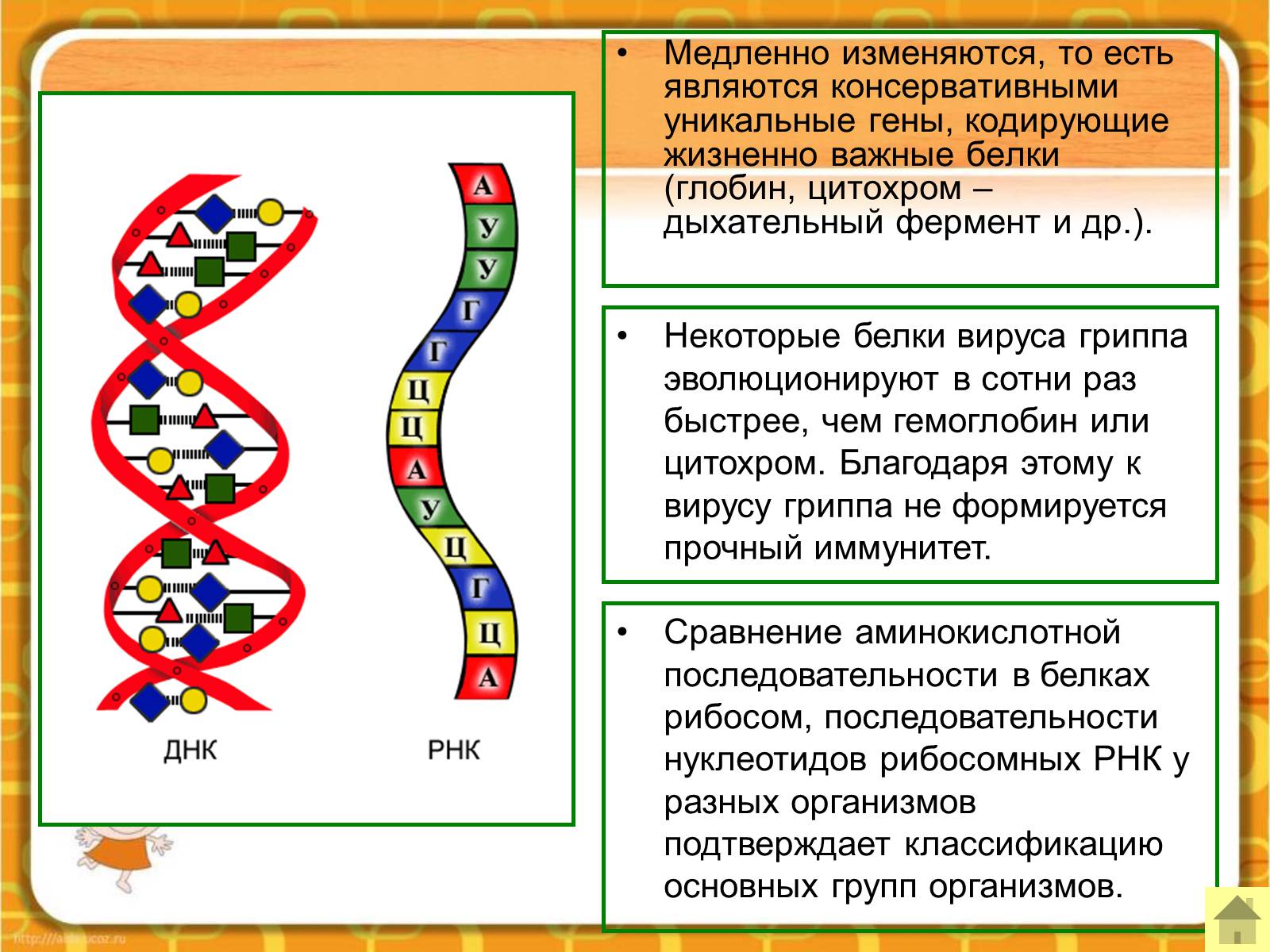 Генетические доказательства. Молекулярно-генетические доказательства эволюции. Генетико-биохимические доказательства эволюции. Генетические доказательства эволюции примеры. Молекулярно-генетические доказательства эволюции примеры.