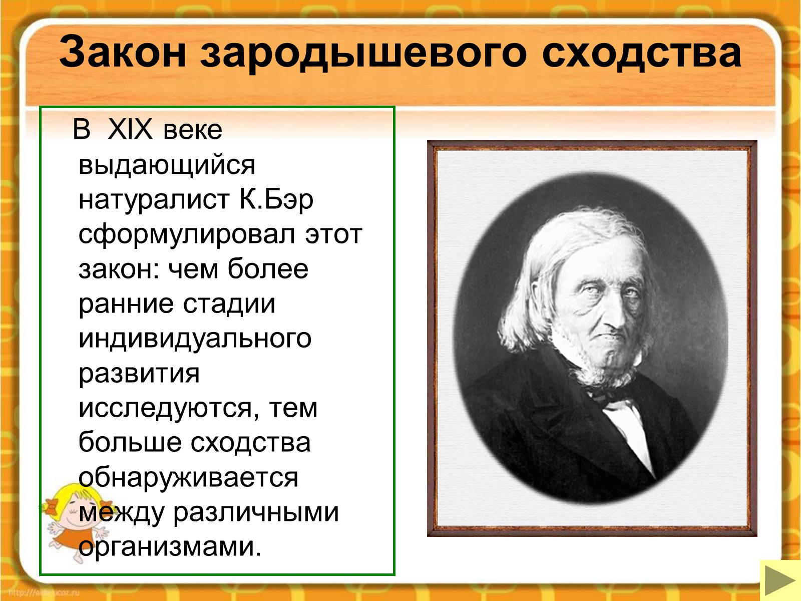 Презентація на тему «Макроэволюция.Доказательства эволюции» - Слайд #48