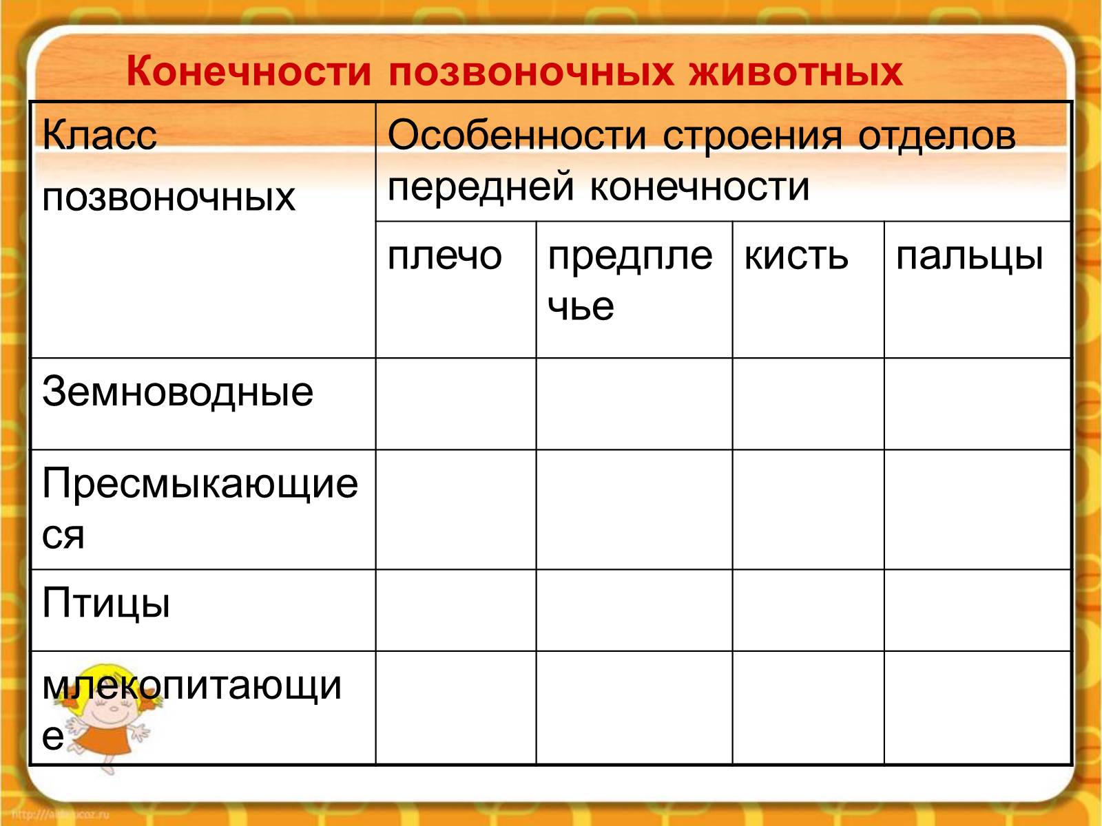 Презентація на тему «Макроэволюция.Доказательства эволюции» - Слайд #57