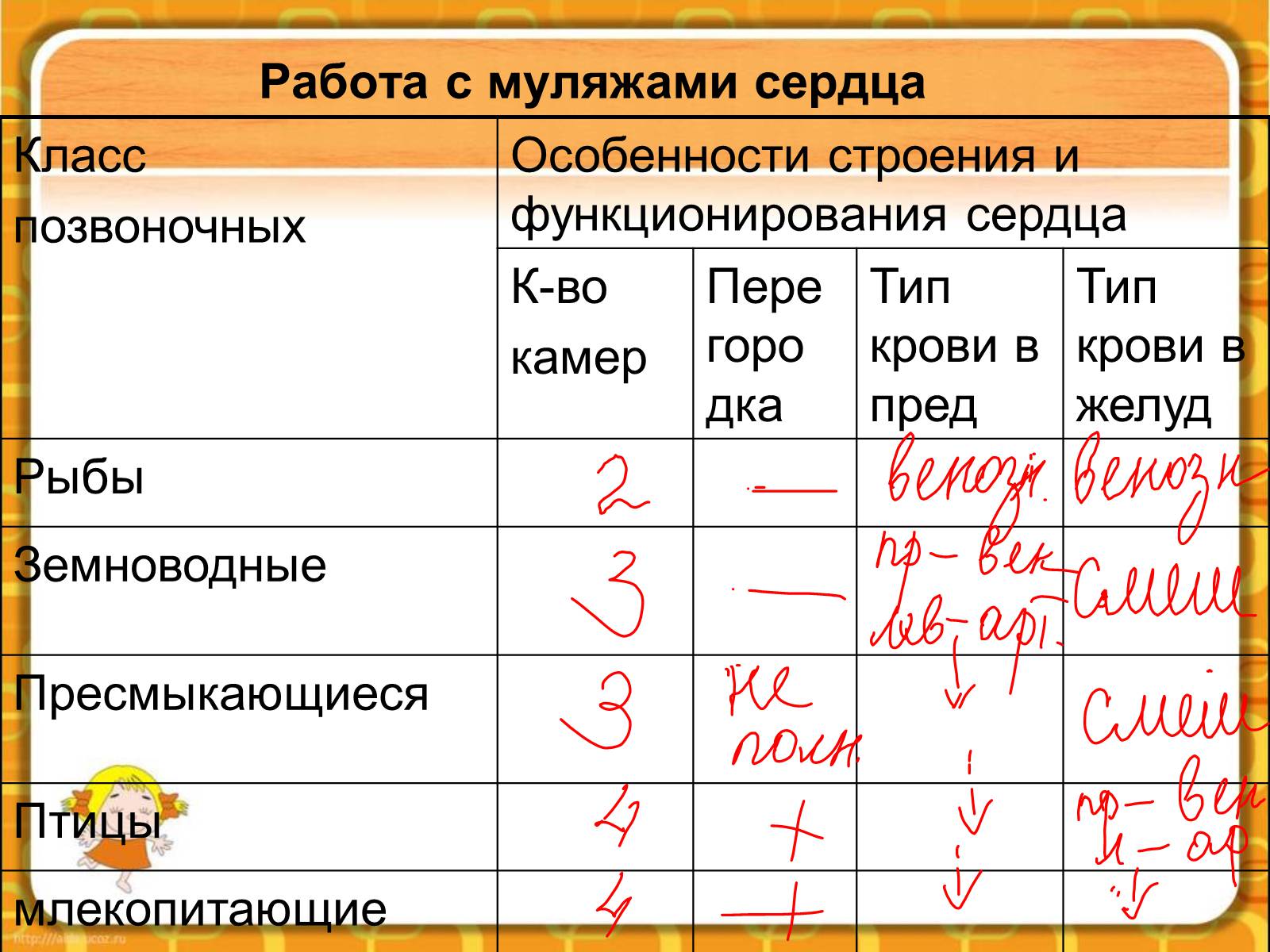 Презентація на тему «Макроэволюция.Доказательства эволюции» - Слайд #58