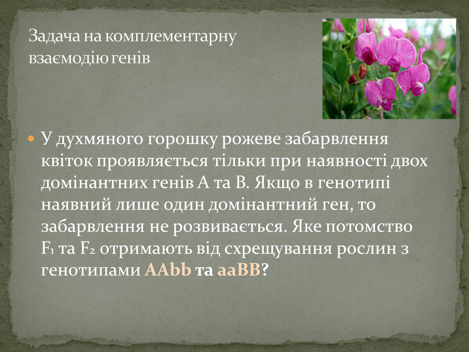 Презентація на тему «Взаємодія генів. Позаядерна спадковість» - Слайд #6