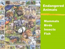 Презентація на тему «Endangered Animals»