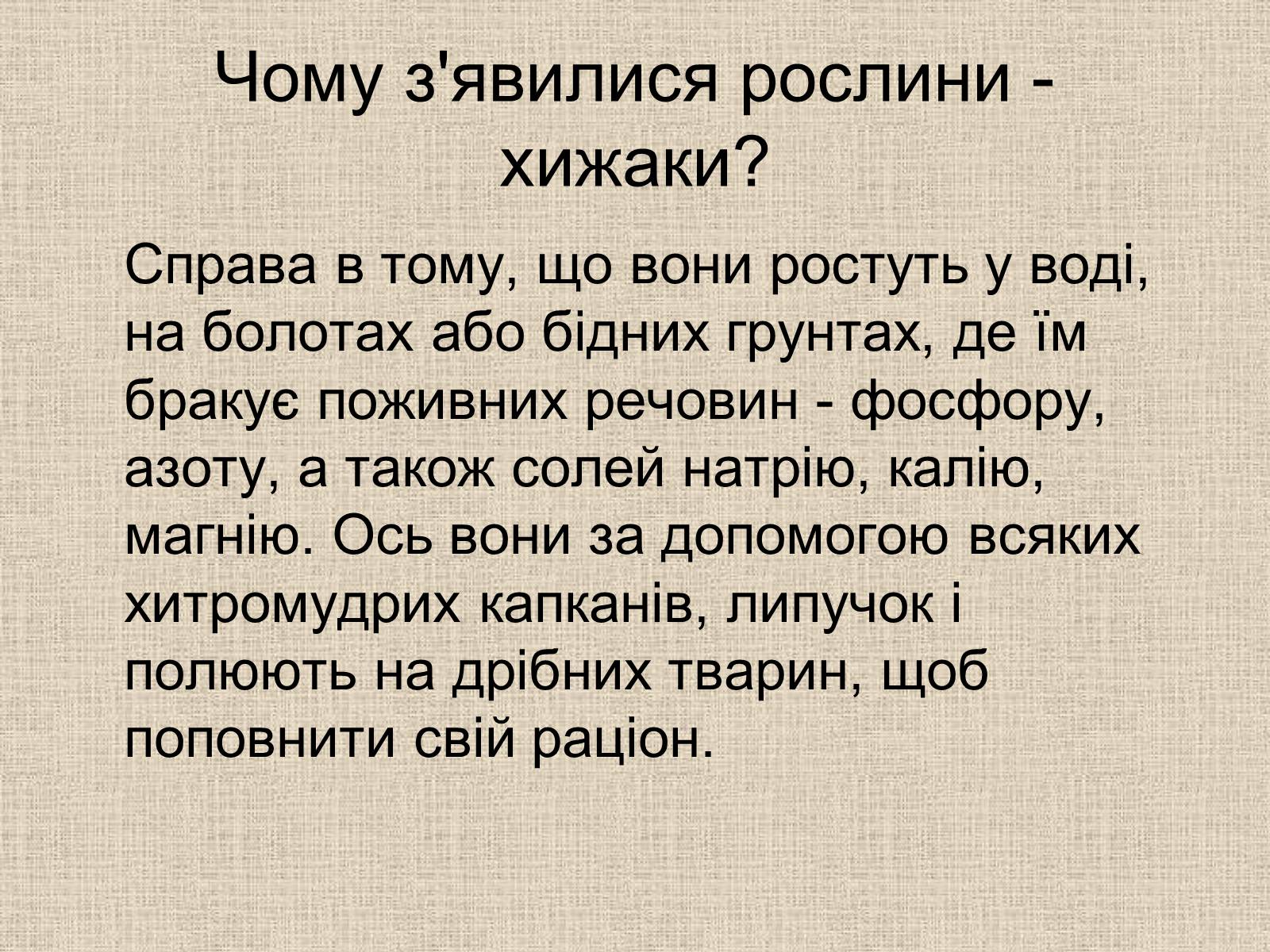 Презентація на тему «Рослини-хижаки» (варіант 1) - Слайд #14