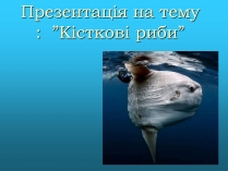 Презентація на тему «Кісткові риби» (варіант 2)