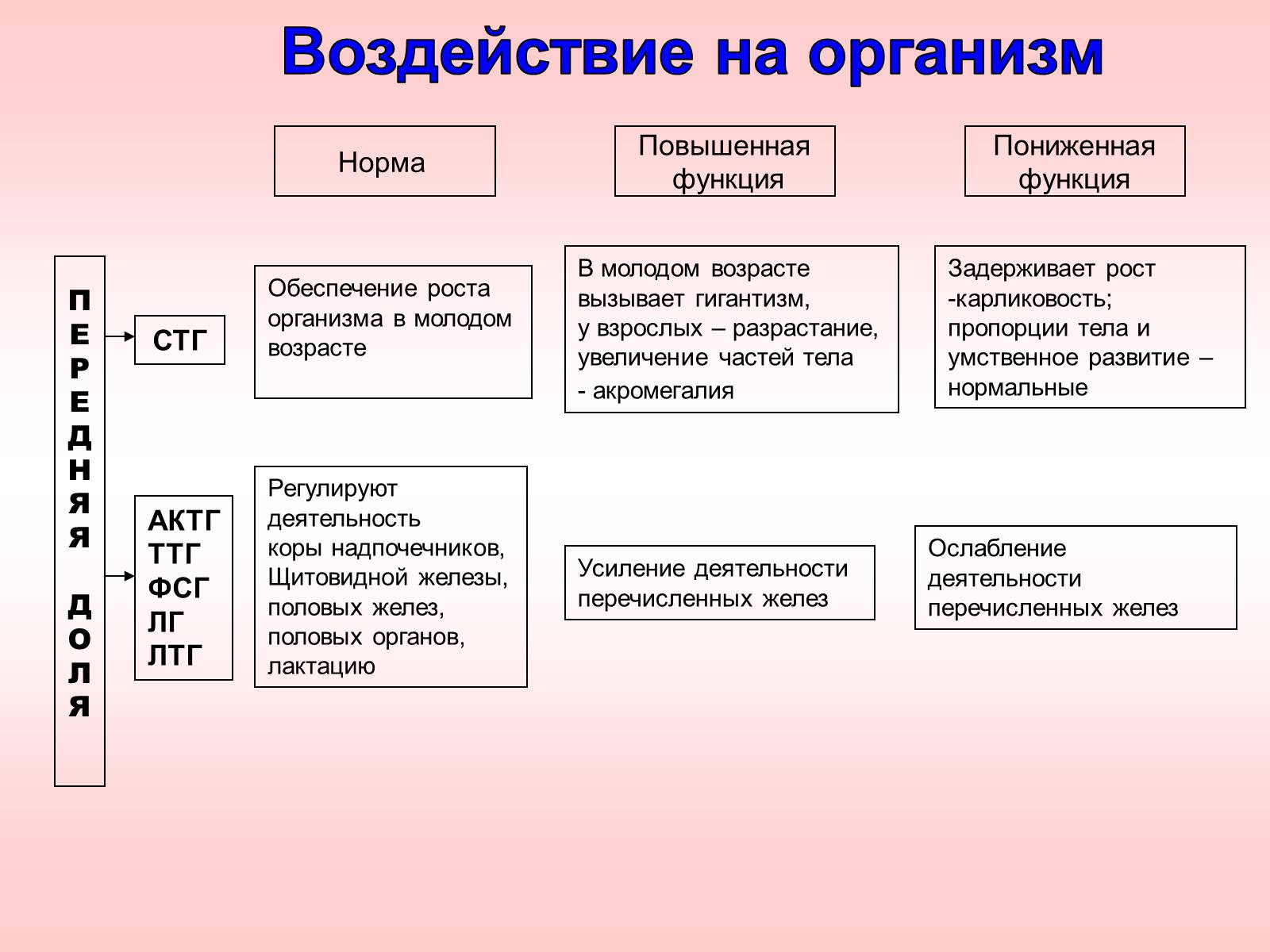 Презентація на тему «Железы внутренней секреции» (варіант 2) - Слайд #11