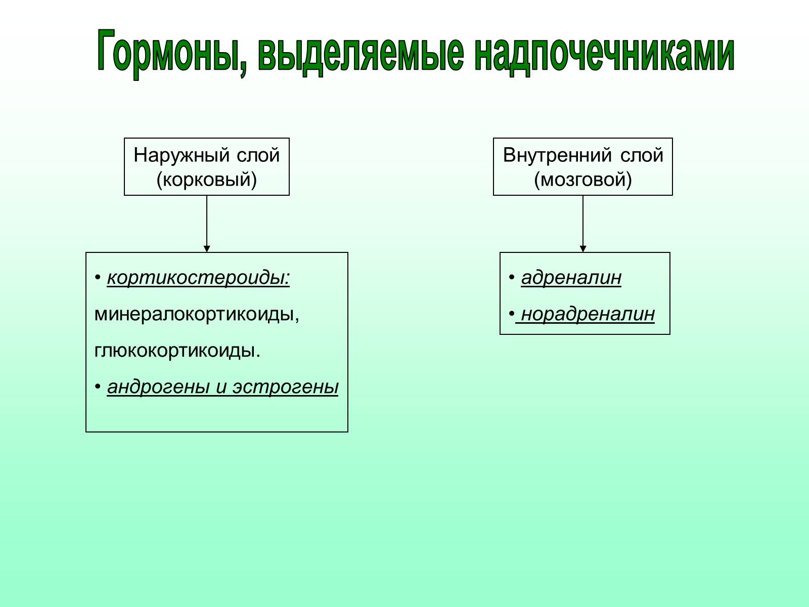 Назовите гормоны надпочечников