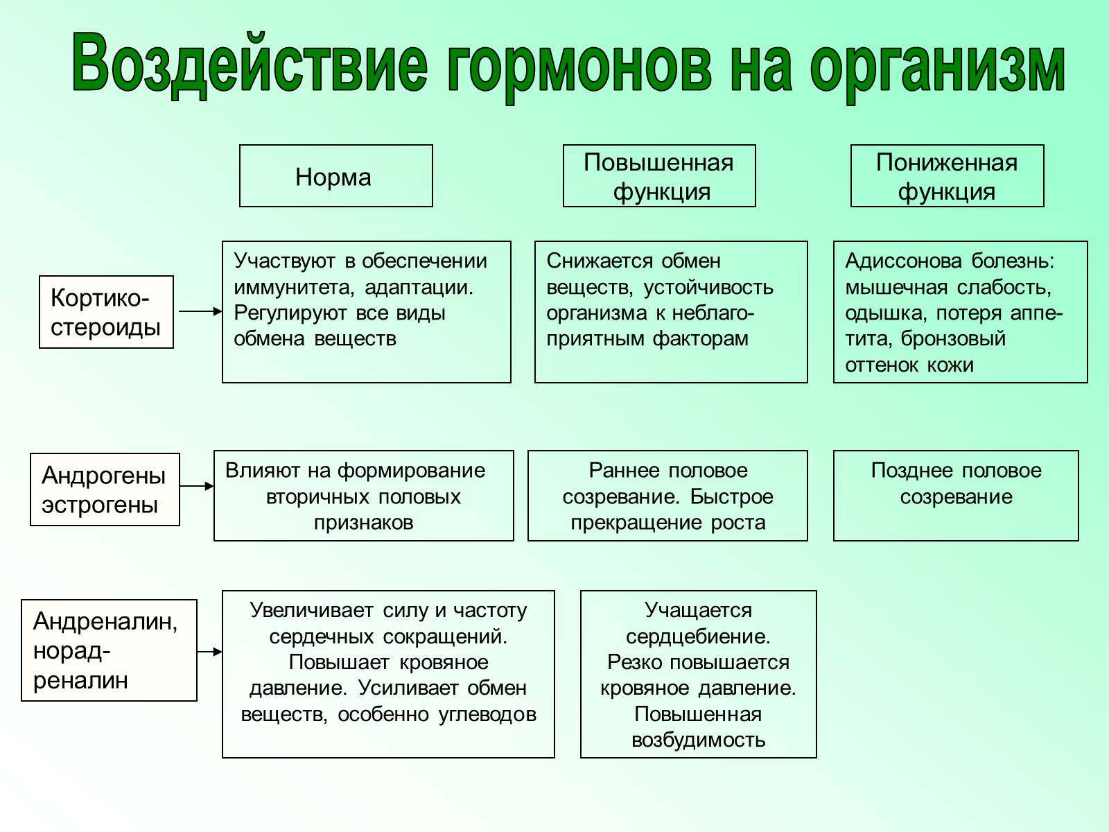 Презентація на тему «Железы внутренней секреции» (варіант 2) - Слайд #25