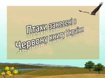 Презентація на тему «Птахи занесені в Червону книгу України»