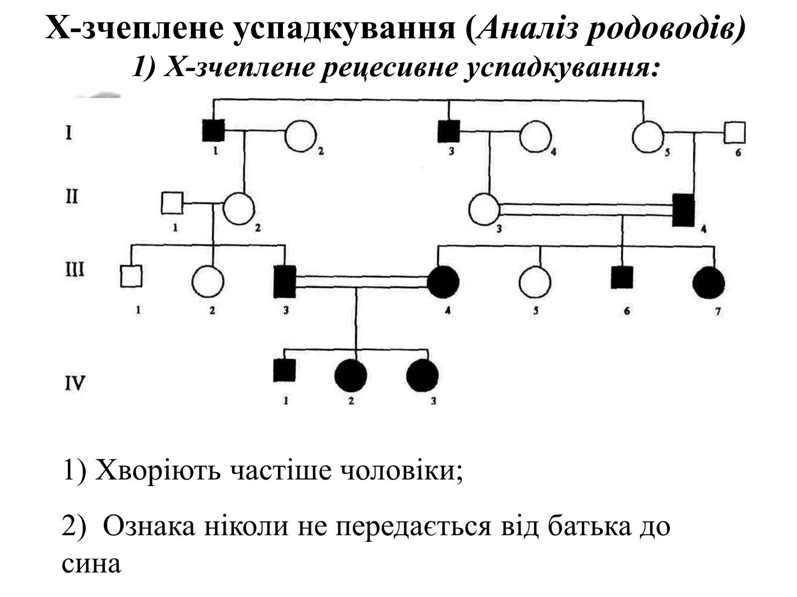 Презентація на тему «Успадкування статі та ознак, зчеплених зі статтю» - Слайд #23