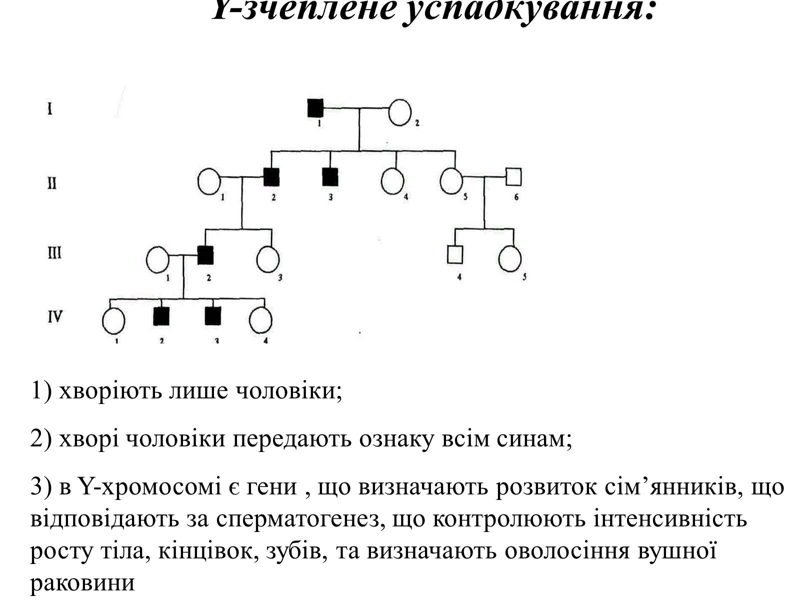 Презентація на тему «Успадкування статі та ознак, зчеплених зі статтю» - Слайд #29