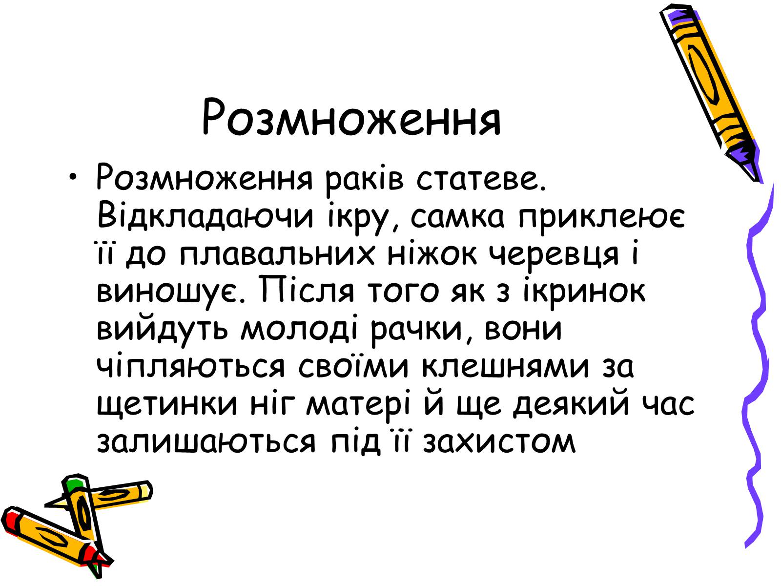 Презентація на тему «Ракоподібні» (варіант 2) - Слайд #21