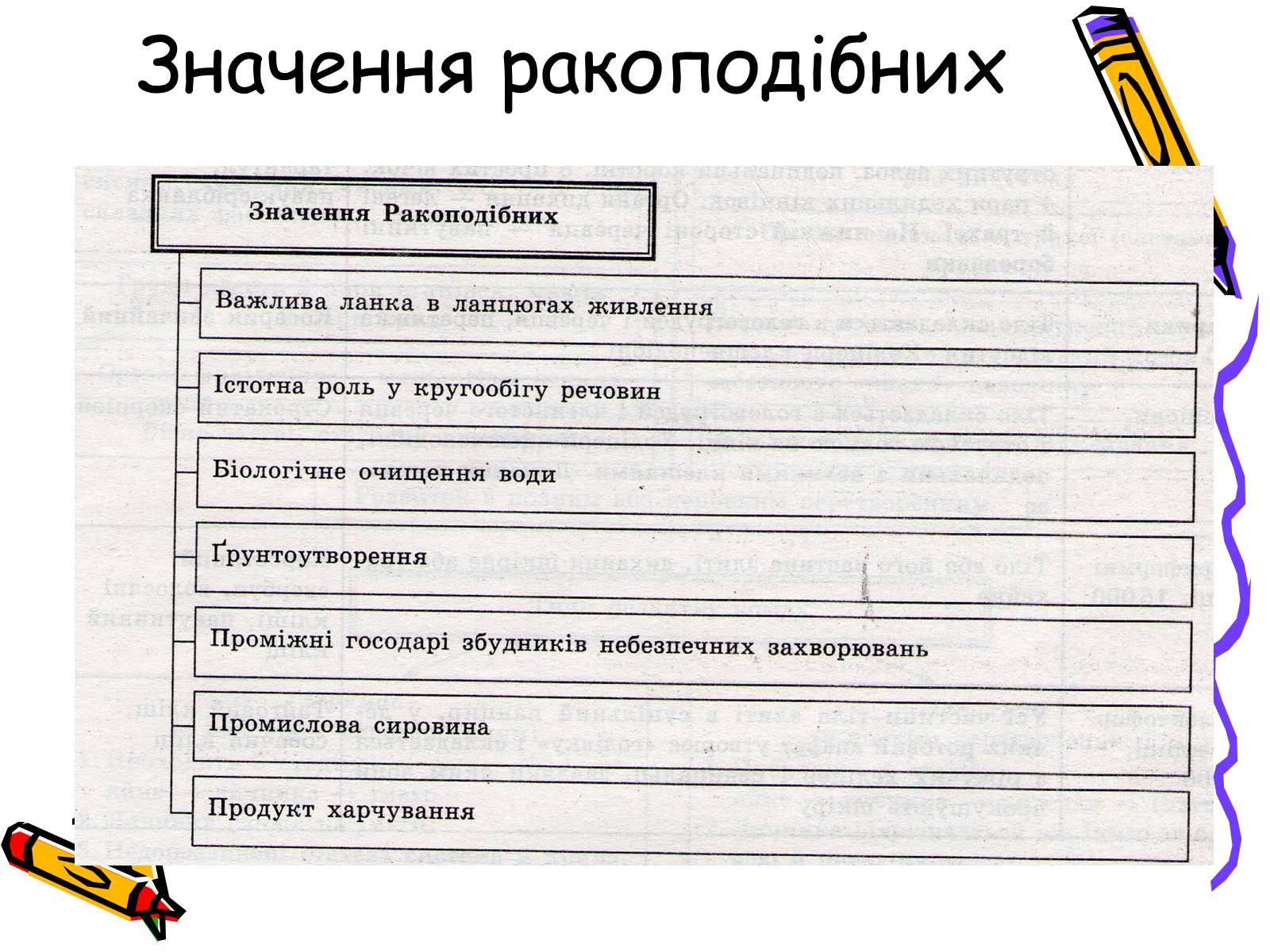 Презентація на тему «Ракоподібні» (варіант 2) - Слайд #23