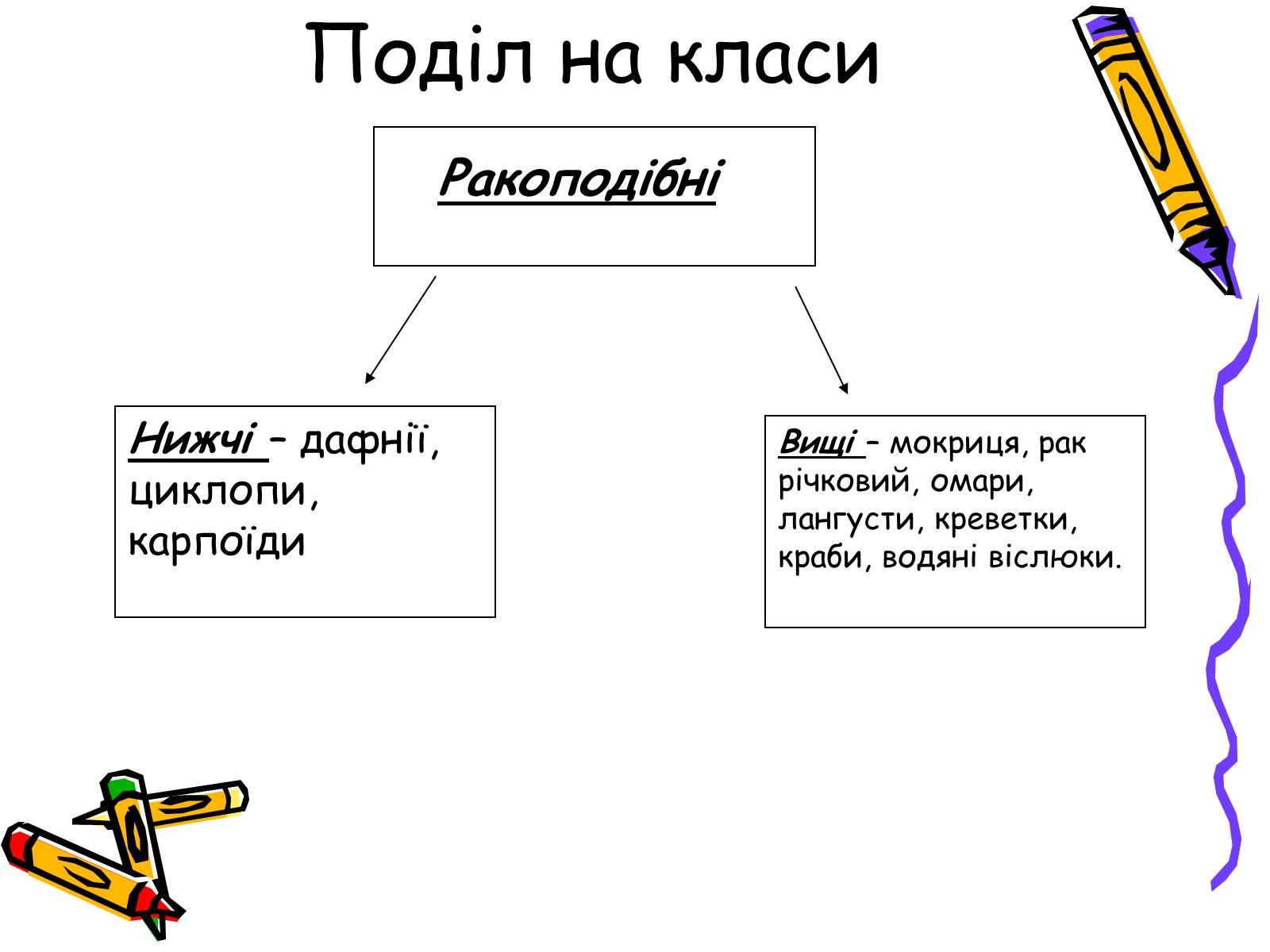 Презентація на тему «Ракоподібні» (варіант 2) - Слайд #24