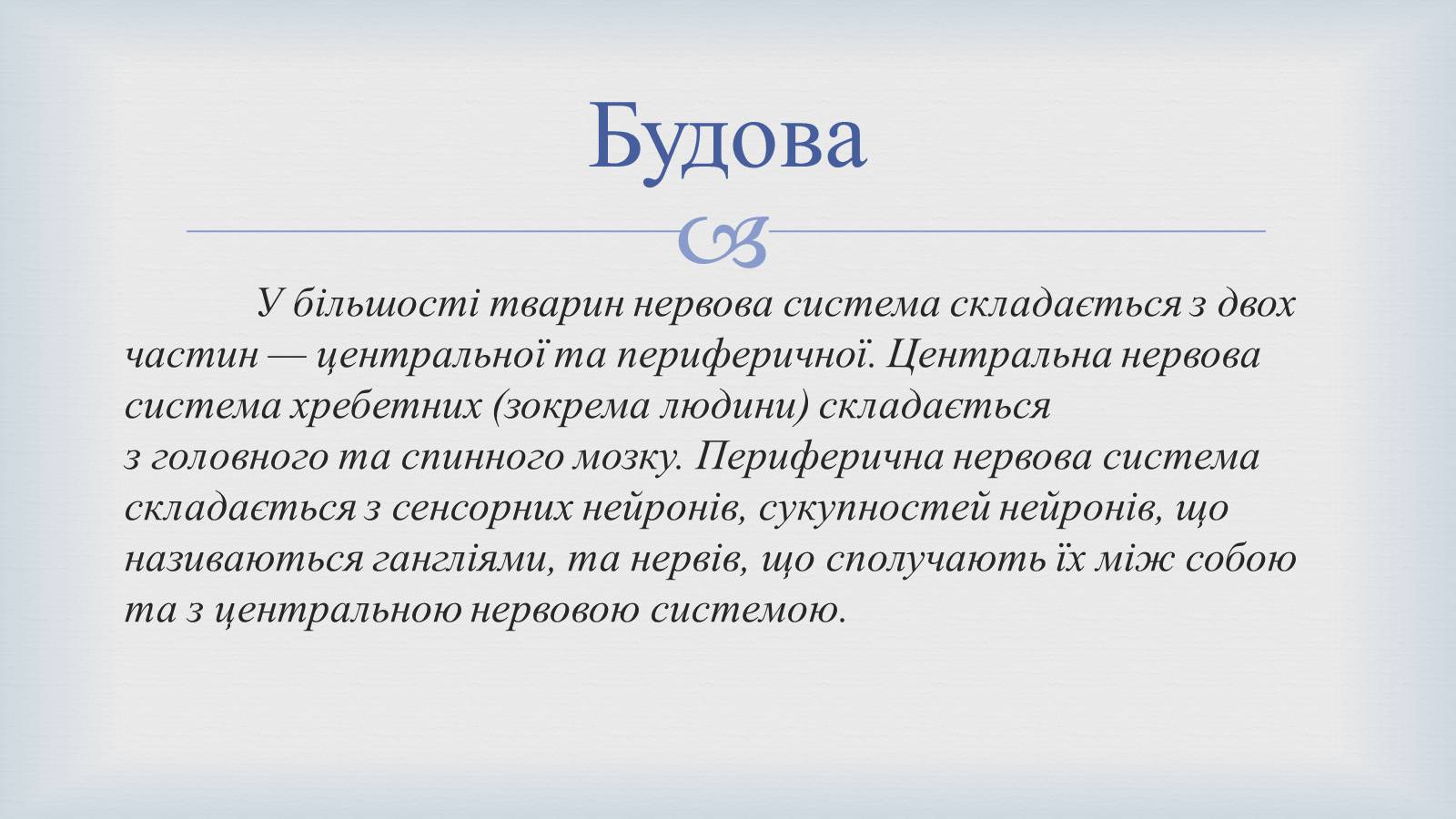 Презентація на тему «Системи людського організму» - Слайд #14