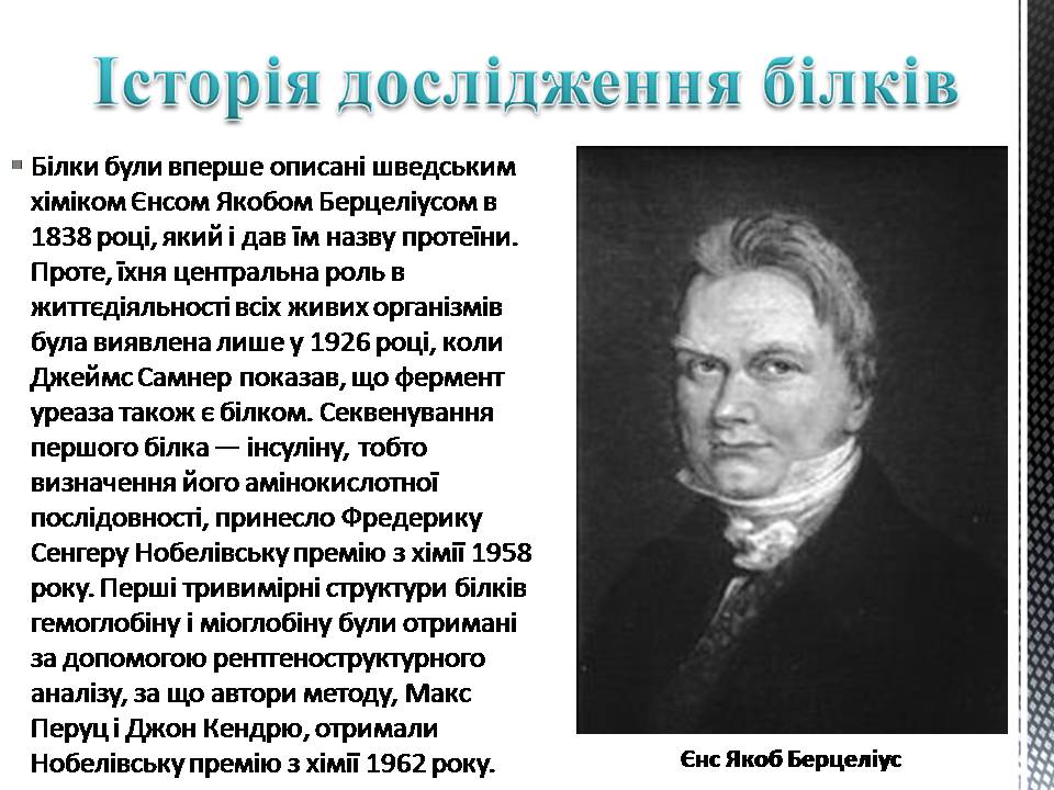 Презентація на тему «Білки» (варіант 13) - Слайд #3
