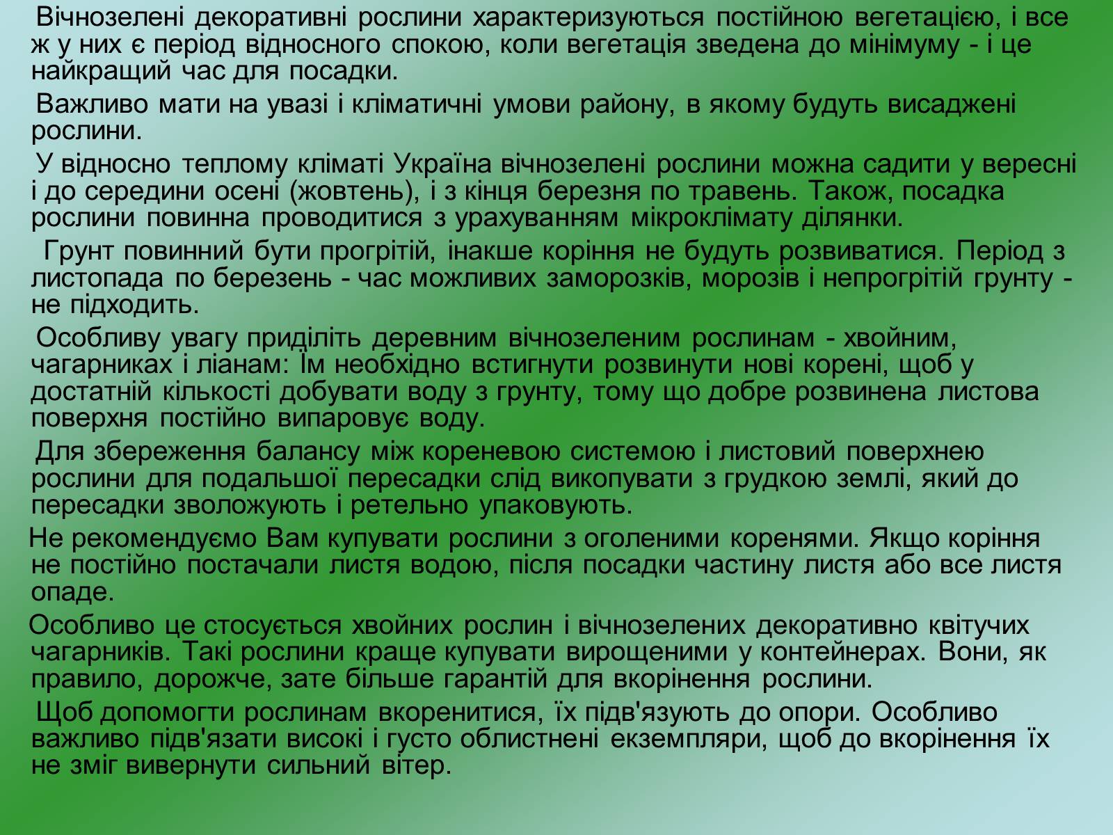 Презентація на тему «Декоративні та вічнозелені кущі та дерева» - Слайд #26