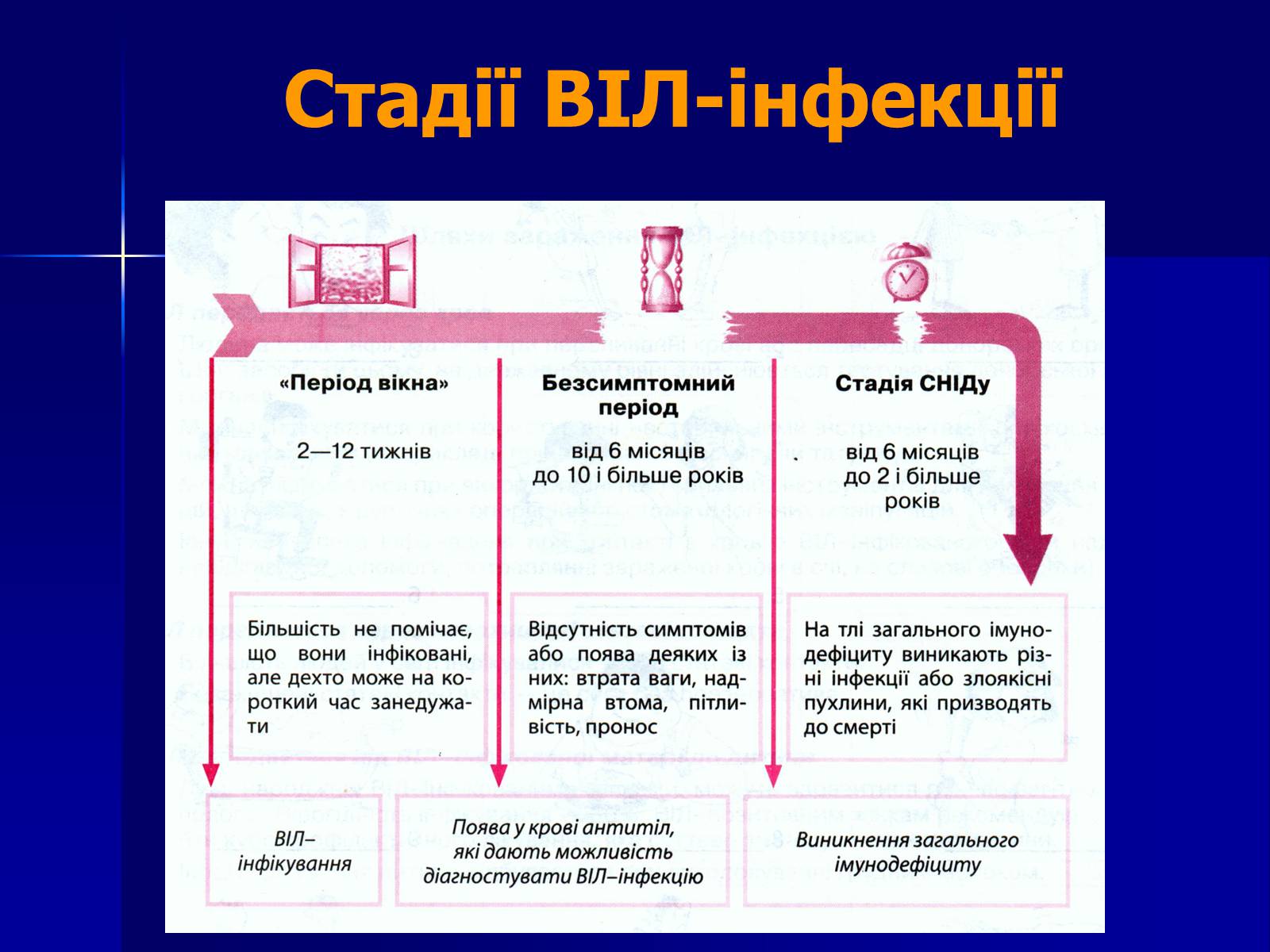 Презентація на тему «Інфекційні захворювання» (варіант 7) - Слайд #43