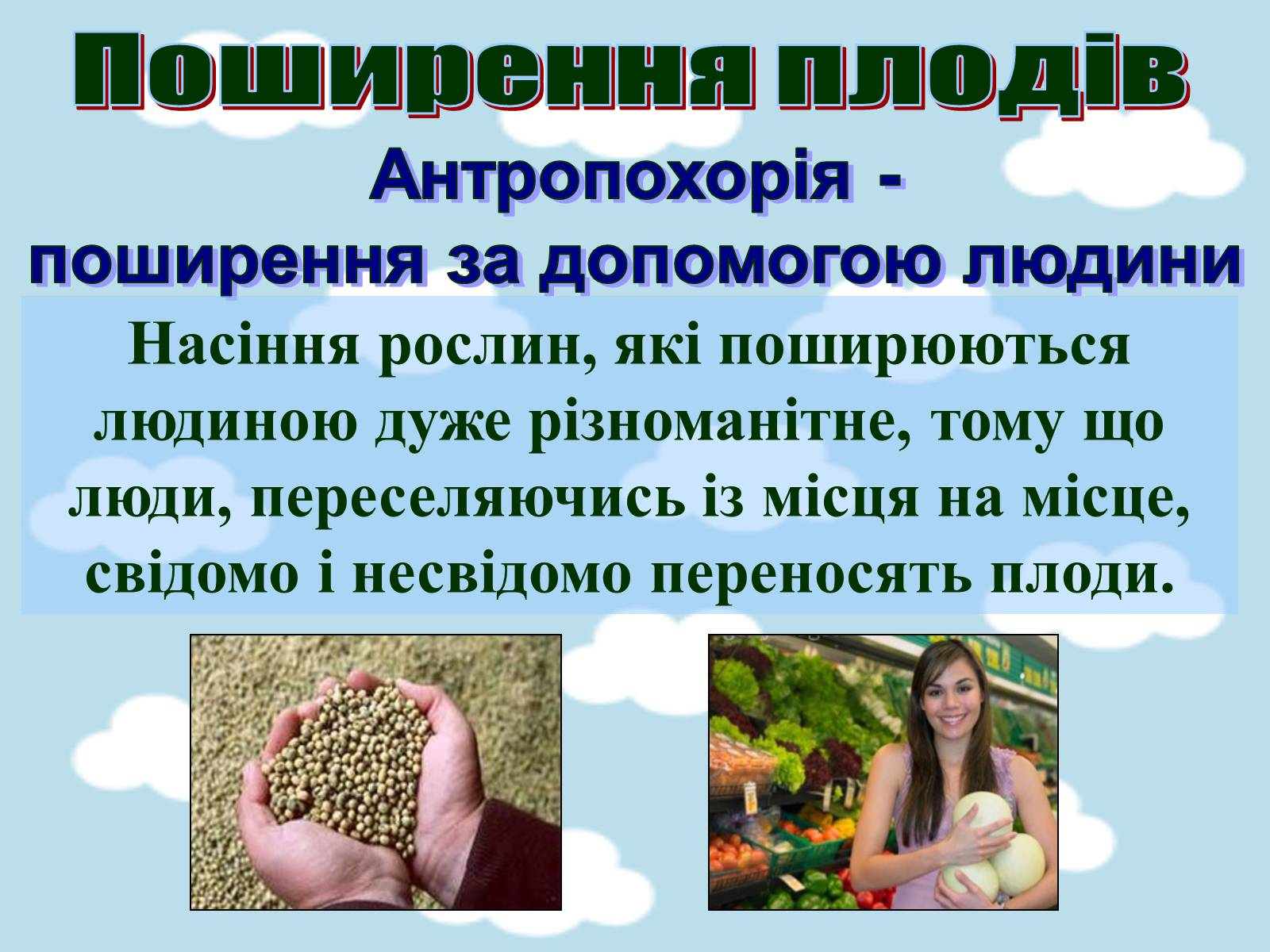 Презентація на тему «Поширення плодів» (варіант 1) - Слайд #14