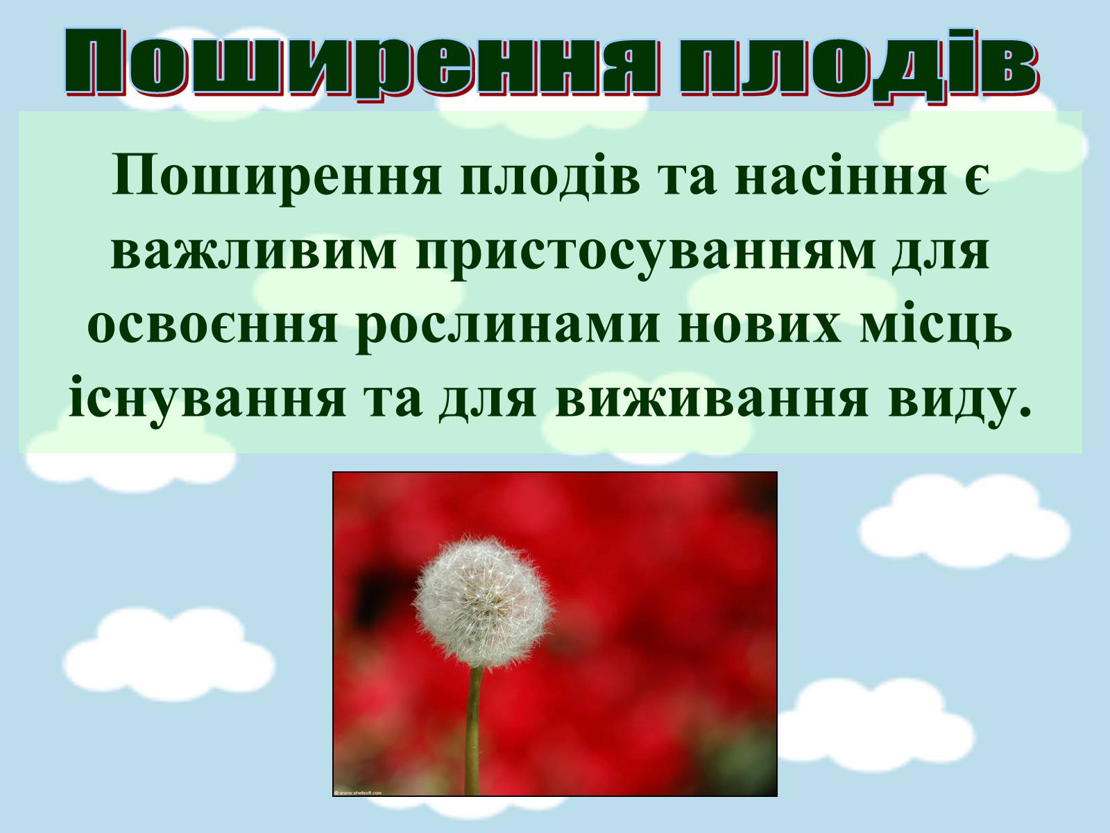 Презентація на тему «Поширення плодів» (варіант 1) - Слайд #20