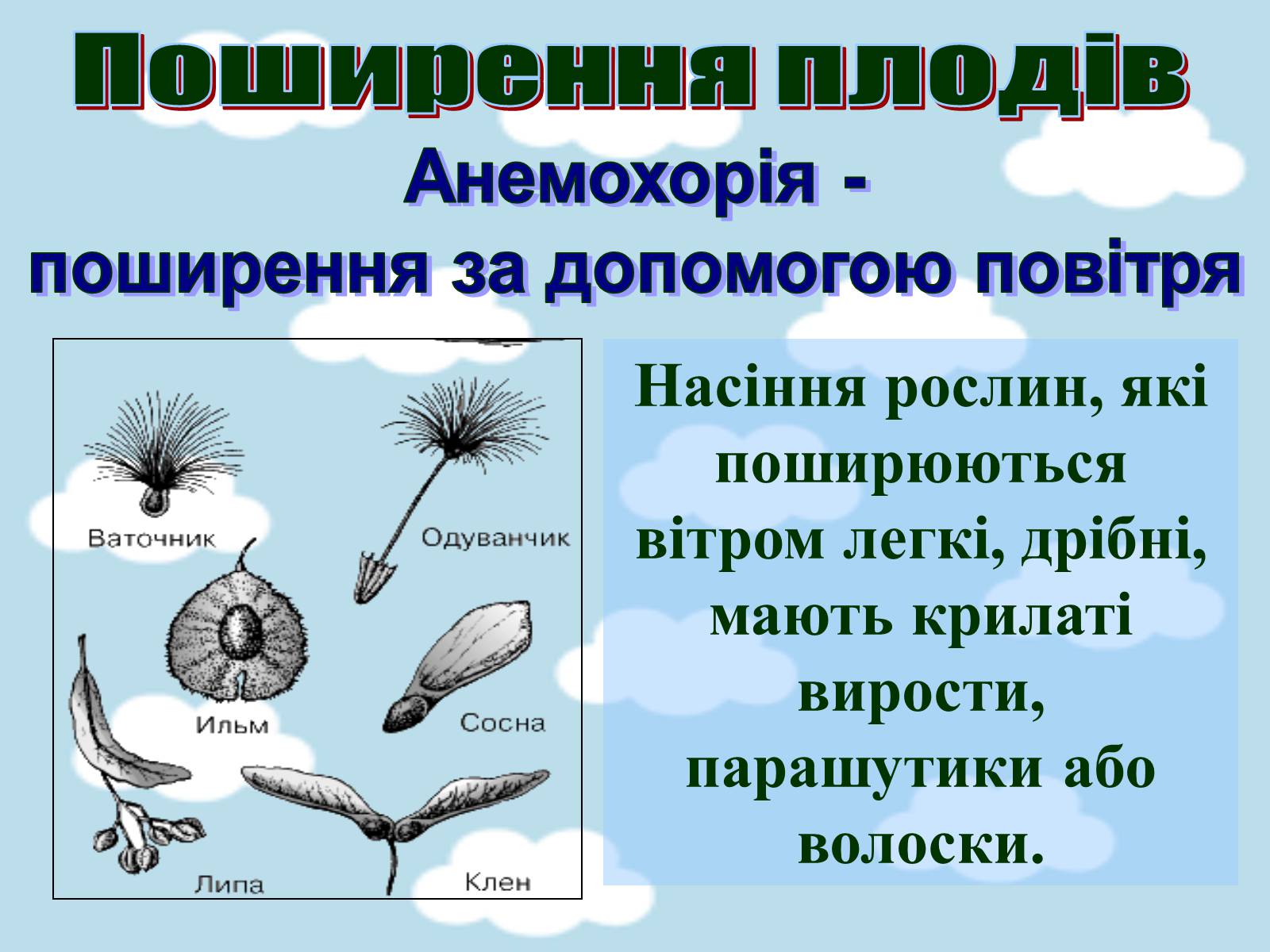 Презентація на тему «Поширення плодів» (варіант 1) - Слайд #3