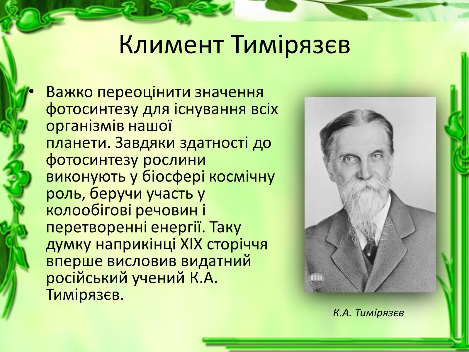 Презентація на тему «Живлення рослин. Фотосинтез» - Слайд #12