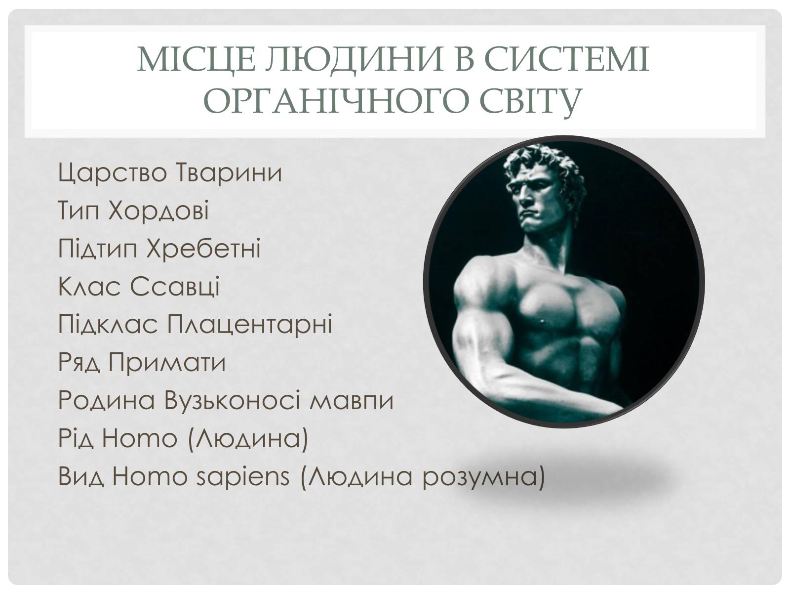 Презентація на тему «Походження людини» (варіант 1) - Слайд #2