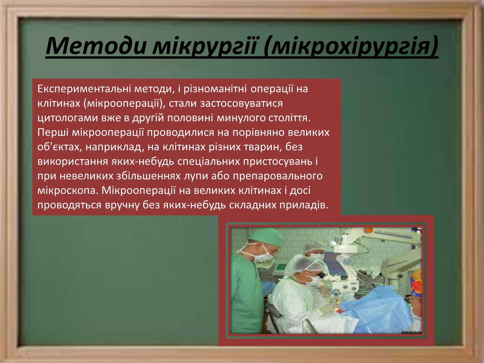 Презентація на тему «Цитологічні методи дослідження» - Слайд #9