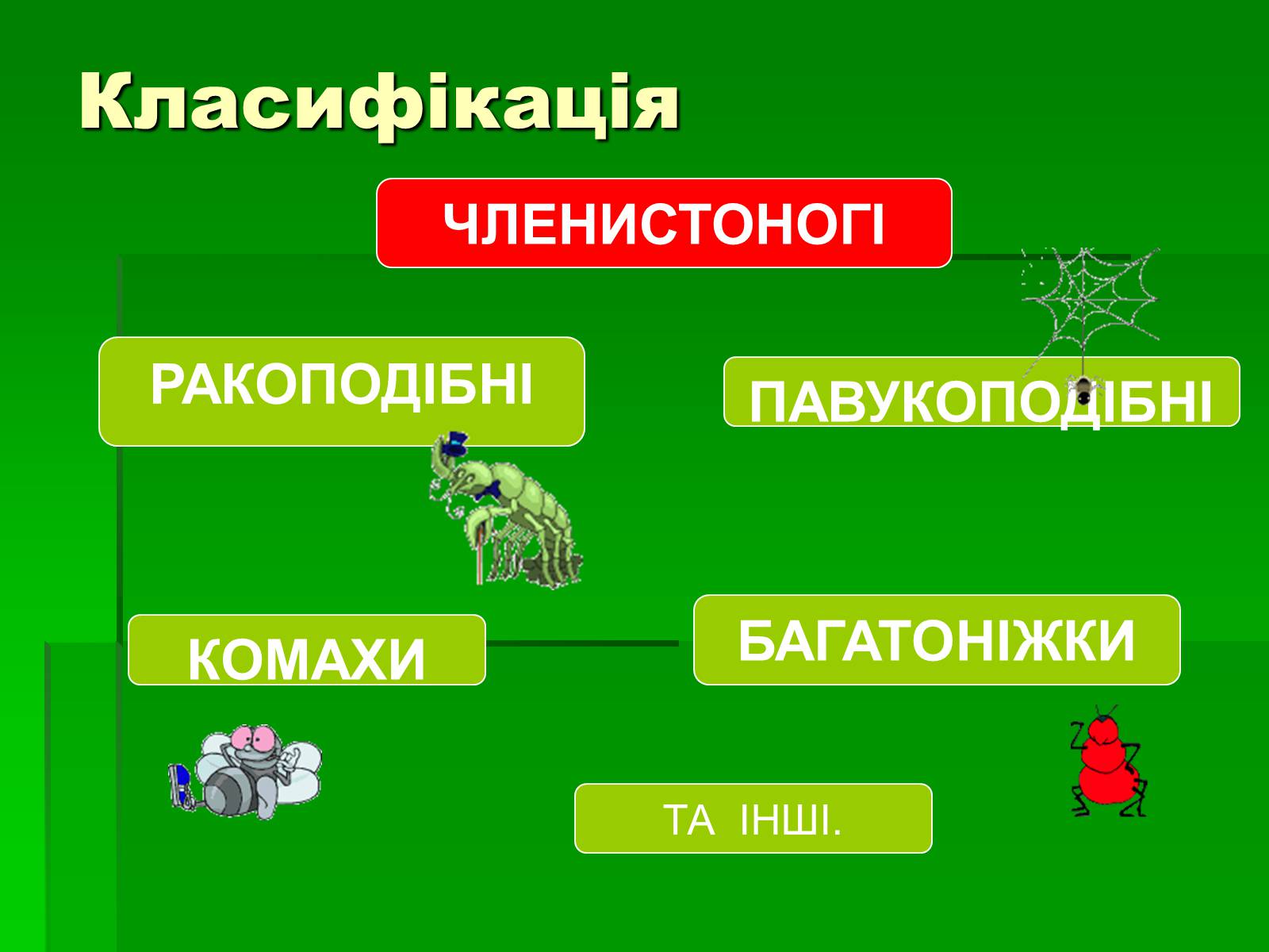 Презентація на тему «Тип Членистоногі» - Слайд #4