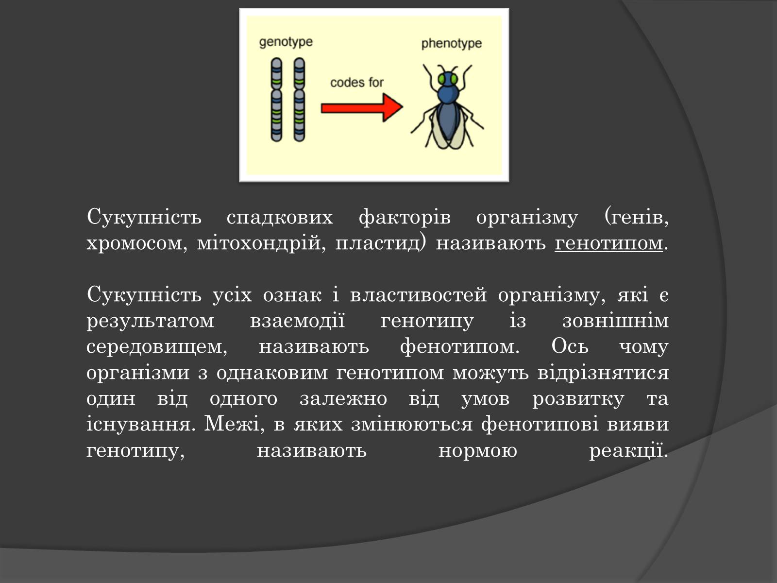 Презентація на тему «Вплив Генотипу і факторів середовища на тварин» - Слайд #10