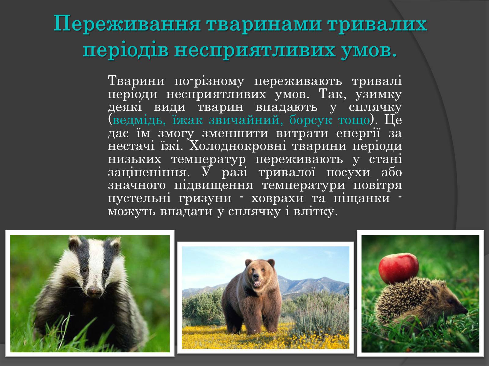 Презентація на тему «Вплив Генотипу і факторів середовища на тварин» - Слайд #9