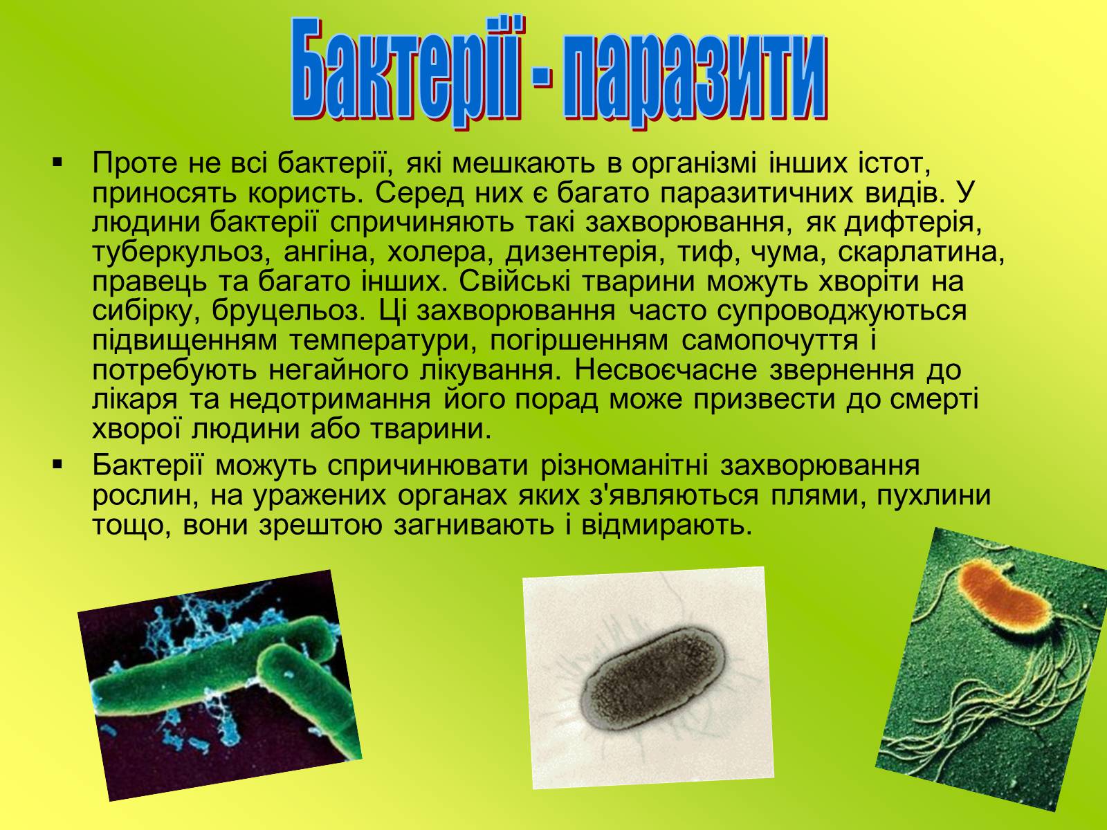 Презентація на тему «Значення бактерій» - Слайд #5