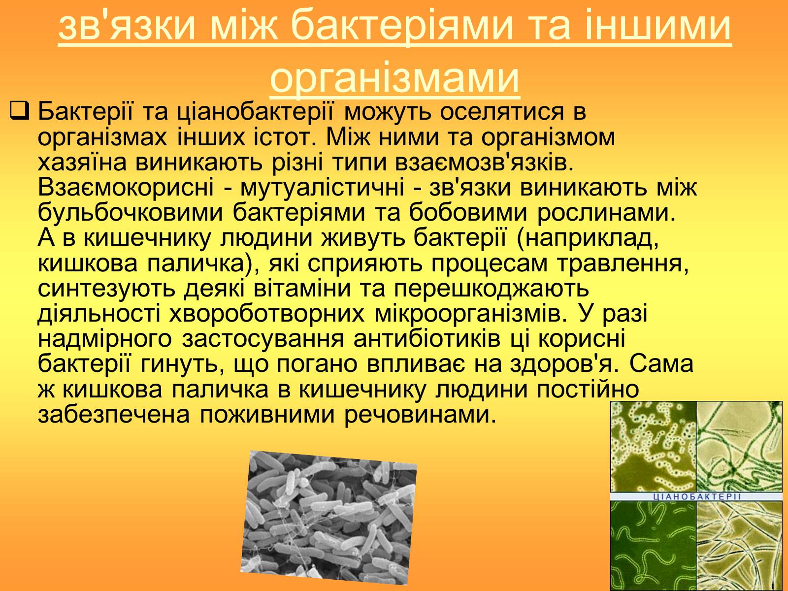 Презентація на тему «Значення бактерій» - Слайд #6
