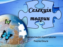 Презентація на тему «Селекція тварин» (варіант 3)