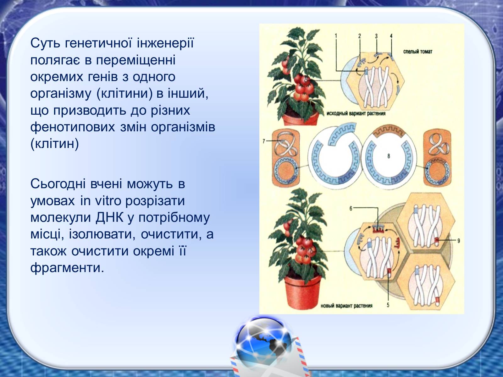 Презентація на тему «Генна інженерія та генна терапія» - Слайд #5