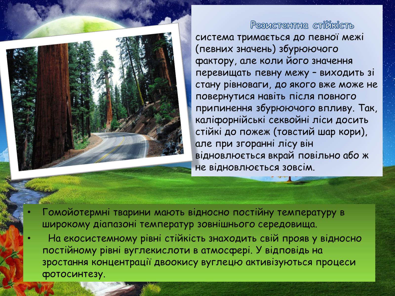 Презентація на тему «Стійкість і динаміка екосистем» - Слайд #4