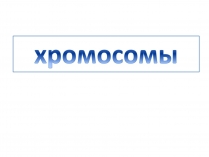 Презентація на тему «Хромосомы»