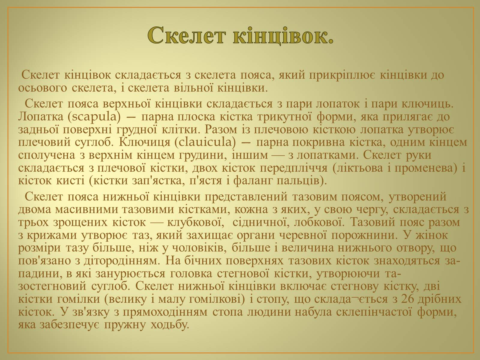 Презентація на тему «Будова та функції скелету людини» - Слайд #18