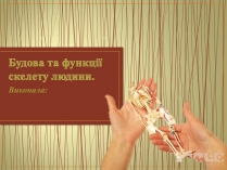 Презентація на тему «Будова та функції скелету людини»